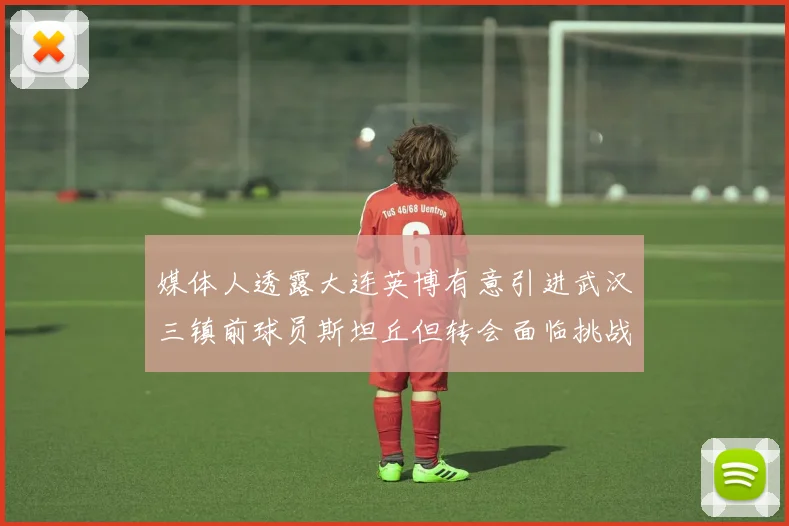 媒体人透露大连英博有意引进武汉三镇前球员斯坦丘但转会面临挑战